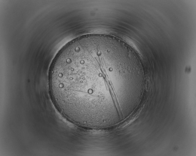 X0000090751087200708031602