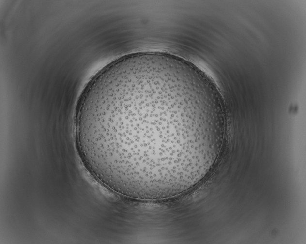 X0000090751088200708031602