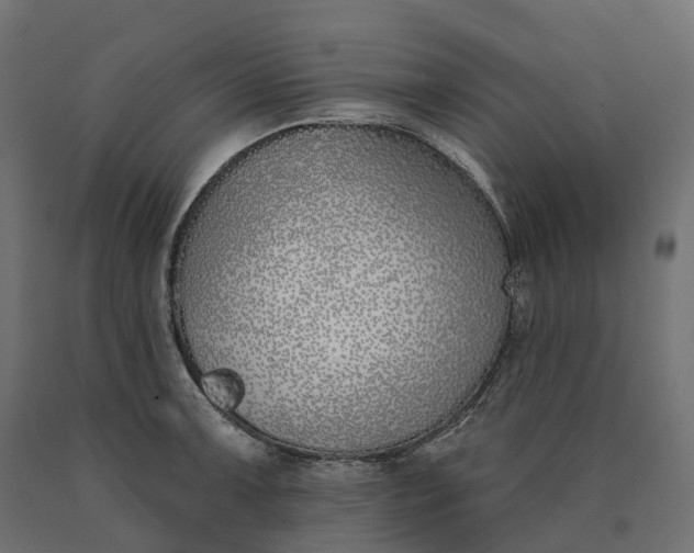 X0000090751091200708031602