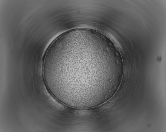 X0000090751092200708031602