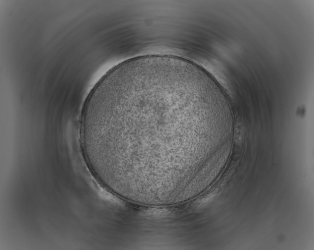 X0000090751094200708031602