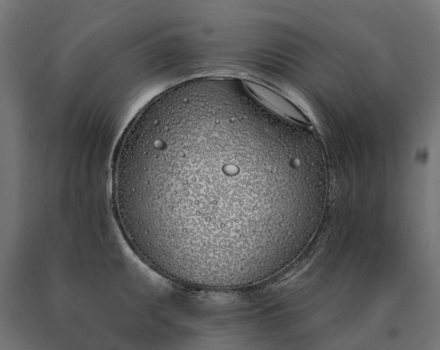 X0000090751095200708031602