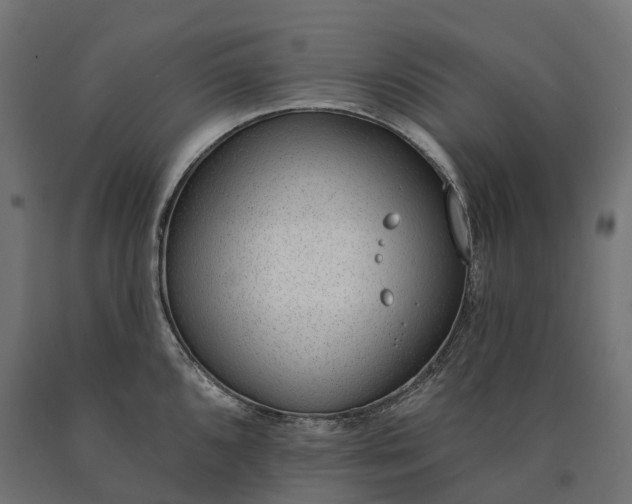 X0000090751096200708031602