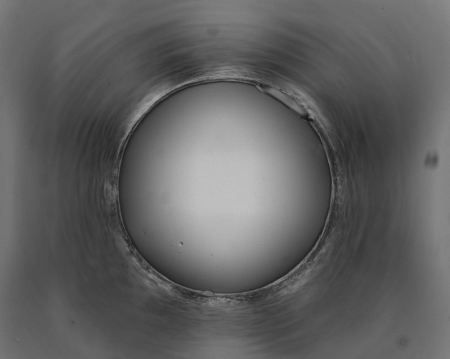 X0000090751097200708031602