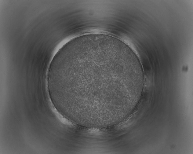 X0000090751098200708031602