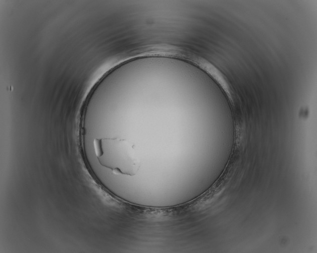 X0000090751099200708031602