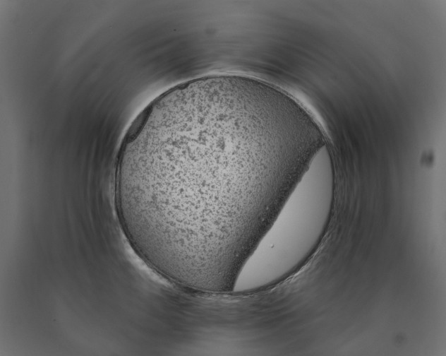 X0000090751100200708031602