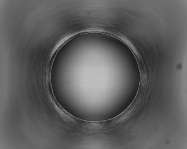 X0000090751101200708031602