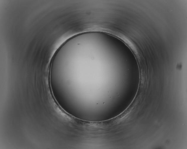 X0000090751102200708031602