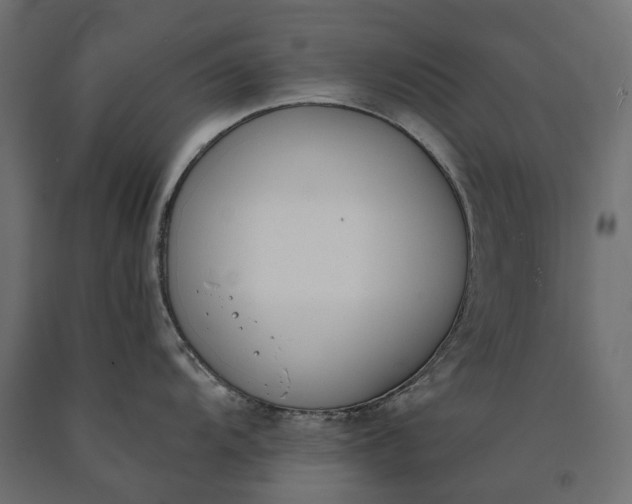 X0000090751104200708031602