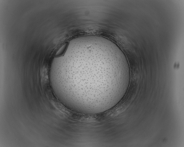 X0000090751106200708031601