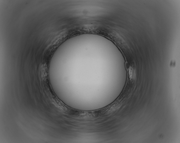 X0000090751107200708031601