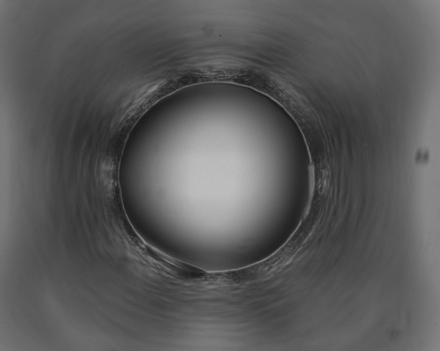 X0000090751108200708031601