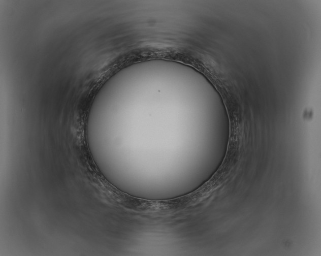 X0000090751109200708031601