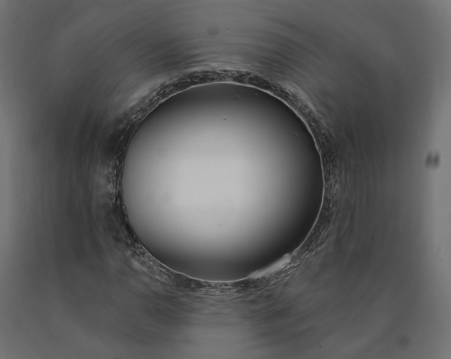 X0000090751110200708031601