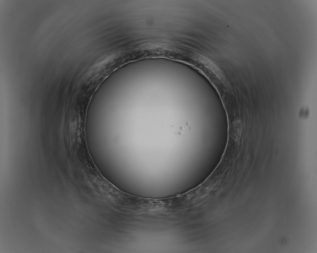 X0000090751111200708031601