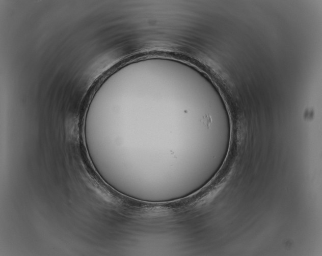 X0000090751113200708031601