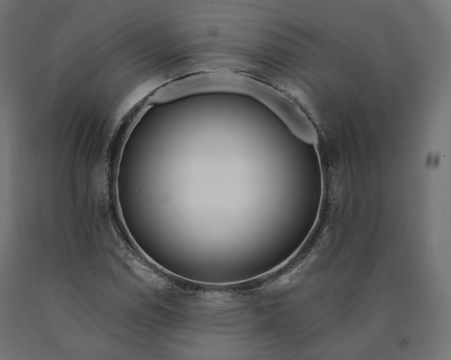 X0000090751114200708031601