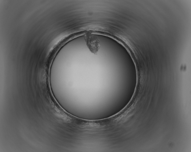 X0000090751115200708031601