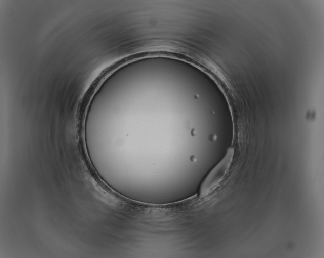 X0000090751116200708031601