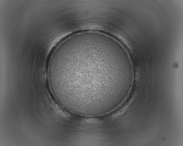 X0000090751117200708031601