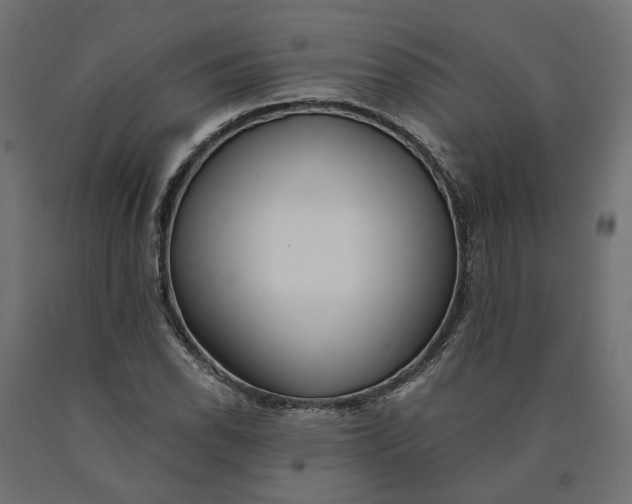 X0000090751118200708031601