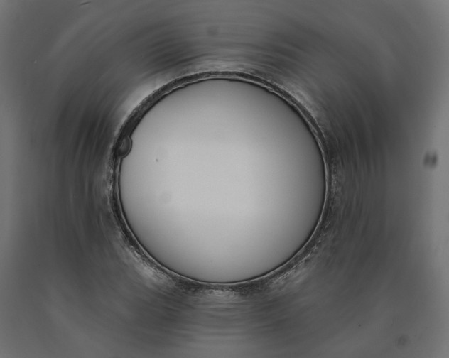 X0000090751119200708031601