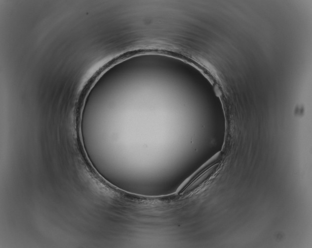 X0000090751120200708031601