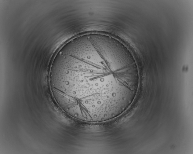 X0000090751121200708031601