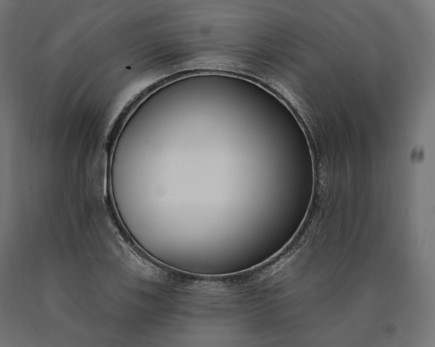 X0000090751123200708031602