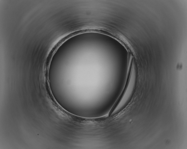 X0000090751124200708031602