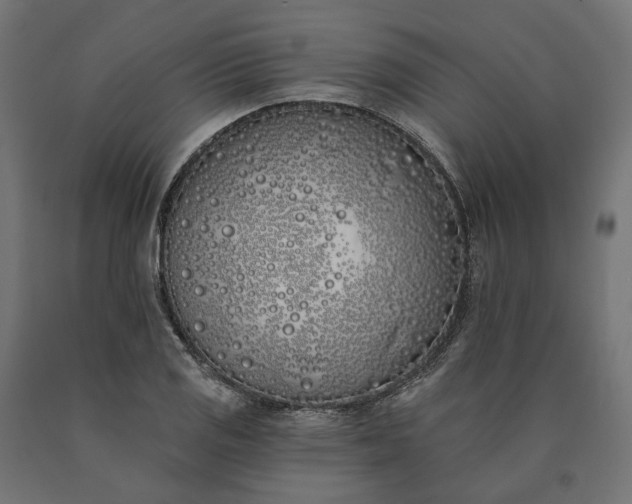 X0000090751125200708031602