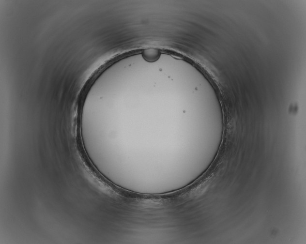 X0000090751126200708031602