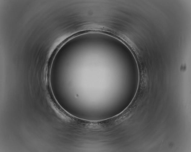 X0000090751128200708031602