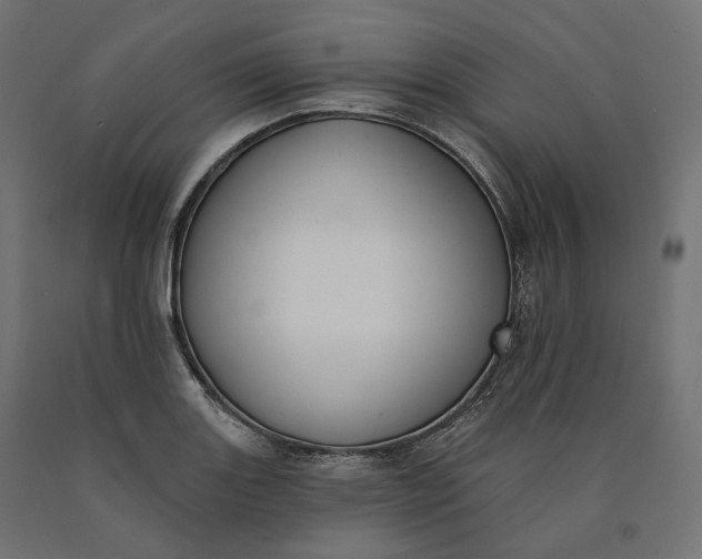 X0000090751131200708031602