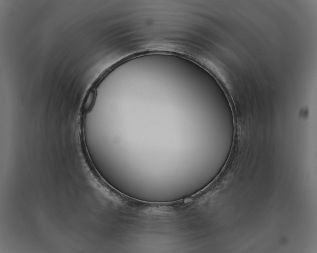 X0000090751133200708031602