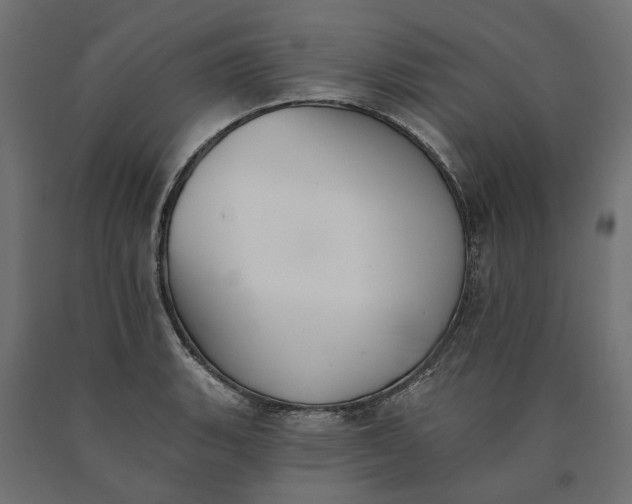 X0000090751135200708031602