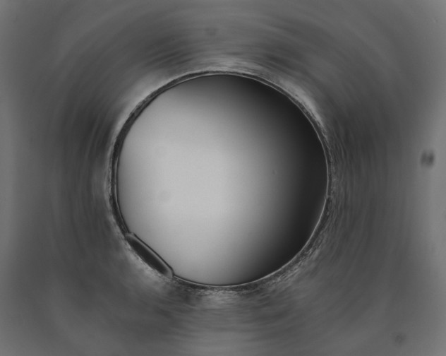 X0000090751136200708031602