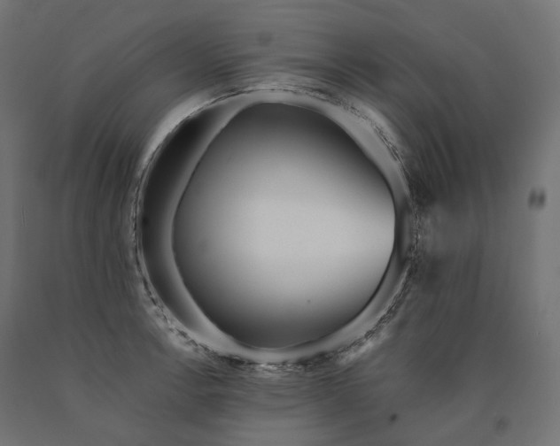 X0000090751138200708031602