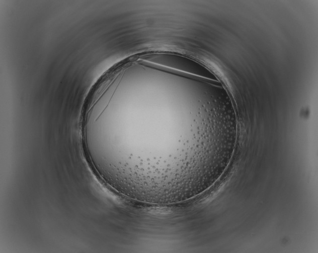 X0000090751141200708031602