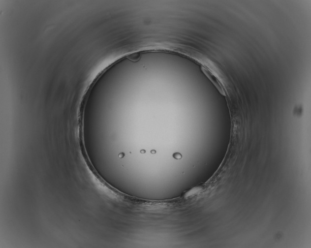 X0000090751143200708031602