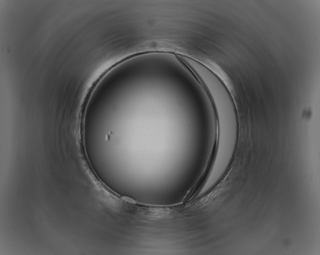 X0000090751144200708031602