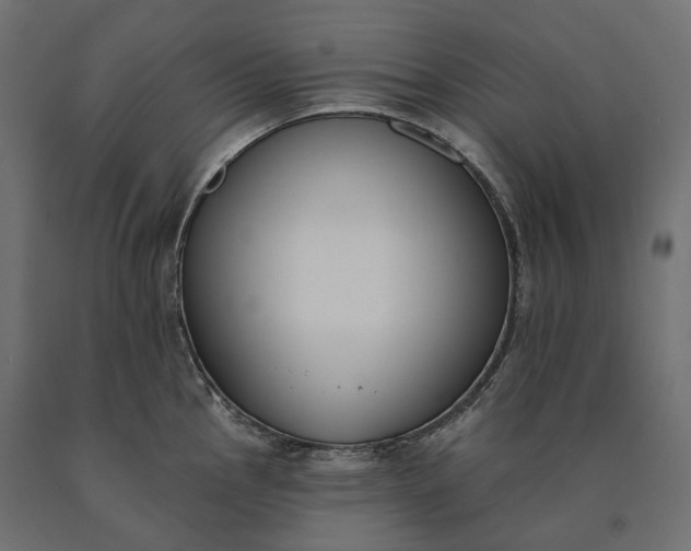 X0000090751145200708031602