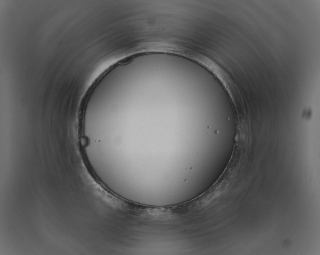 X0000090751147200708031602