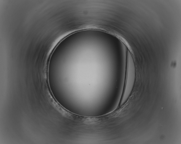 X0000090751148200708031602