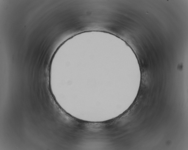 X0000090751150200708031602