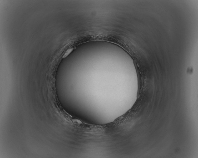 X0000090751153200708031601