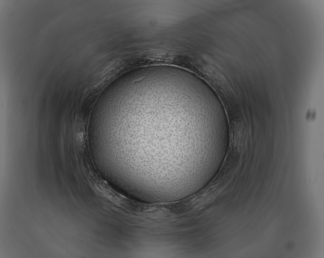 X0000090751154200708031601