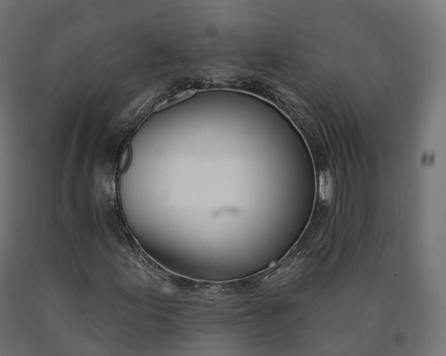 X0000090751155200708031601