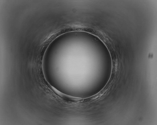 X0000090751157200708031601